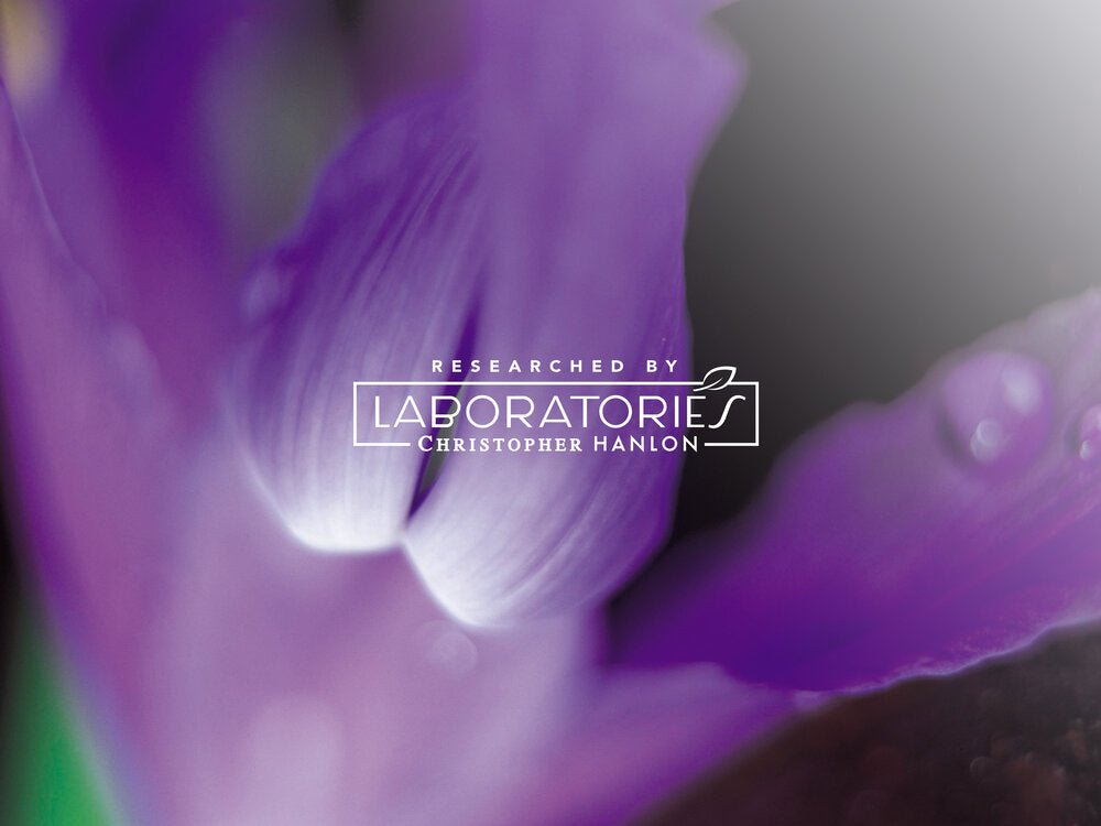 BODY + HAND WASH | LEMONGRASS + WARATAH - Brands N More