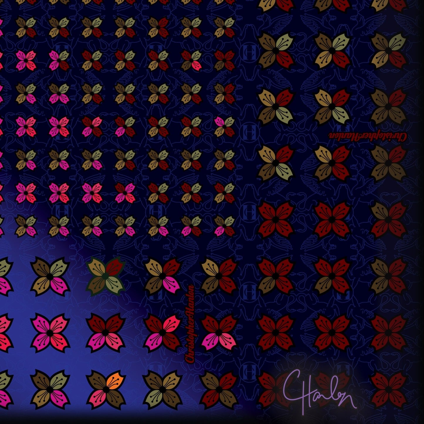 CHRISTOPHER HANLON® Scarf No5 | Chiffon - Brands N More