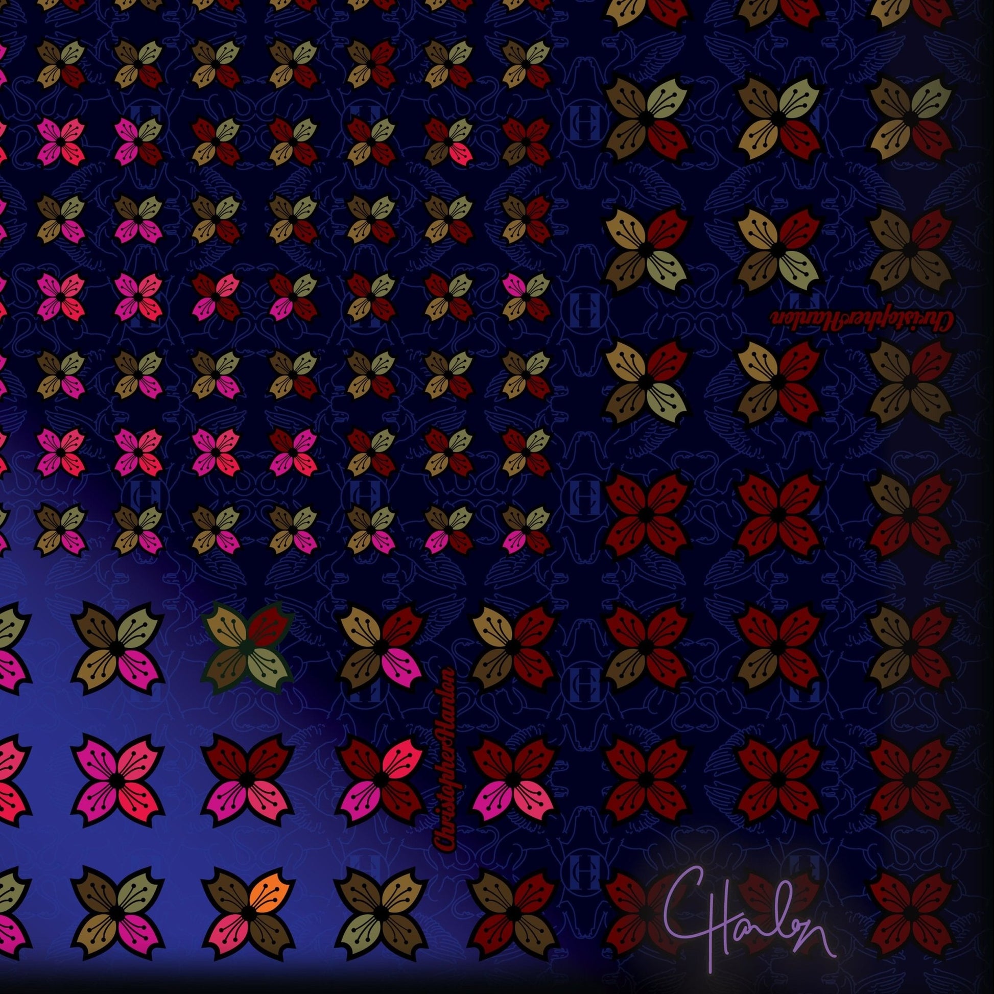 CHRISTOPHER HANLON® Scarf No5 | Chiffon - Brands N More