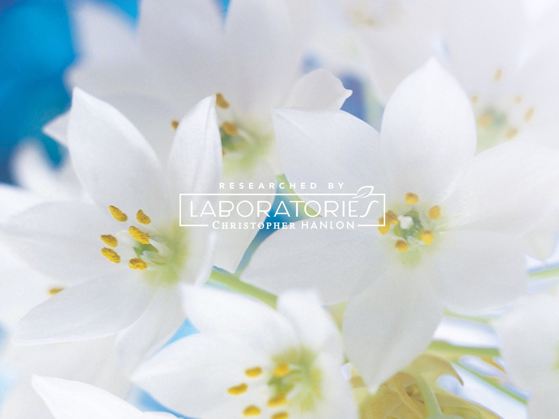 GOATS MILK, LEMON MYRTLE + LIME | HAIR + BODY LUXURY SHAMPOO - Brands N More