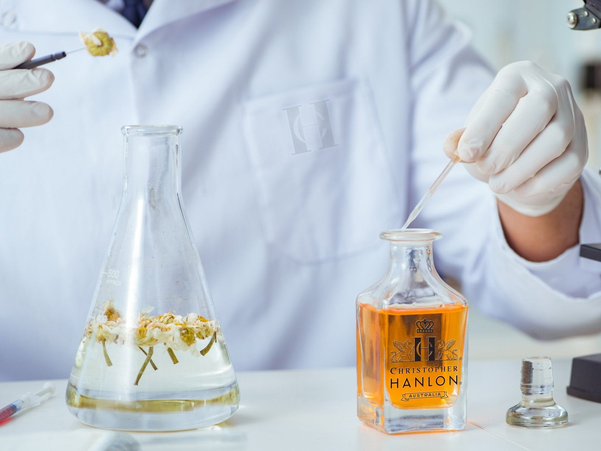 GOLD RUSH BERGAMOT - Brands N More