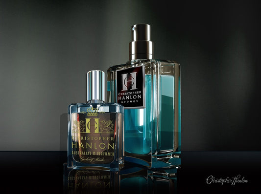 SPRAY ATOMIZER– Sustainable Replacement - Brands N More